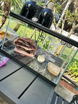 Reptile Terrarium