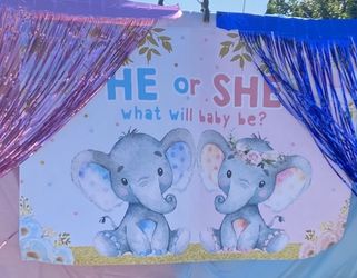 Baby Gender Announcement  Backdrop