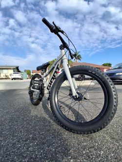Giant STP MountainBike 20"