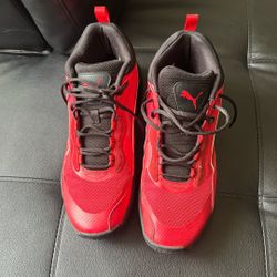 Pumas