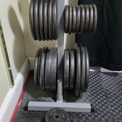 plate rack for standard 1" hold plates