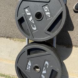 45 Lbs Olympic Plates 
