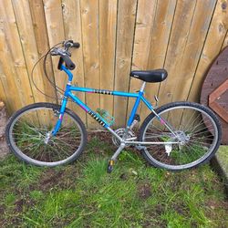 Schwinn Sierra 4130 Chrome Moly Vintage Mountain bike 20” Frame 1988