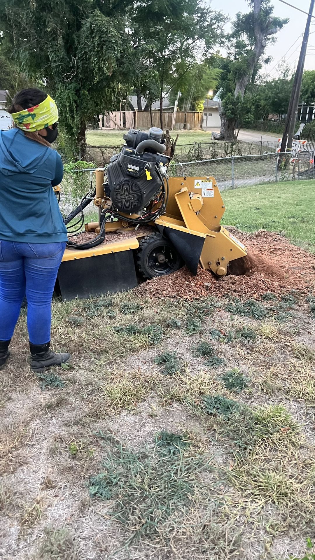 🪵🪵🪵stump Grinding 🇺🇸🇺🇸