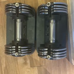 Set of two adjustable 25 lb weights