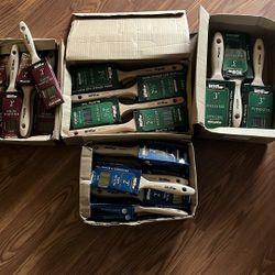 Brushes 