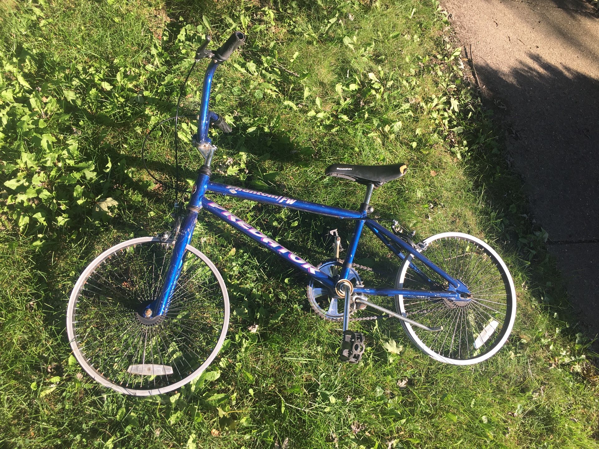 blue schwinn predator