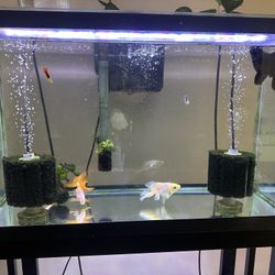 Aquarium Tank 