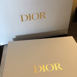 Big Dior Bag And Box 