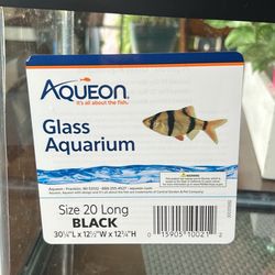 Glass Aquarium 