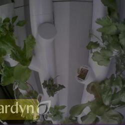 Gardyn Hydroponics 