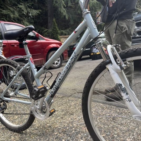 Diamondback Lustre Schwinn Diamondback Diamondback Lustre Women's Mountain Bike 2016