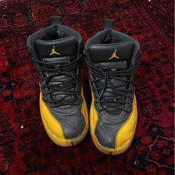 Nike Air Jordan 12 Retro