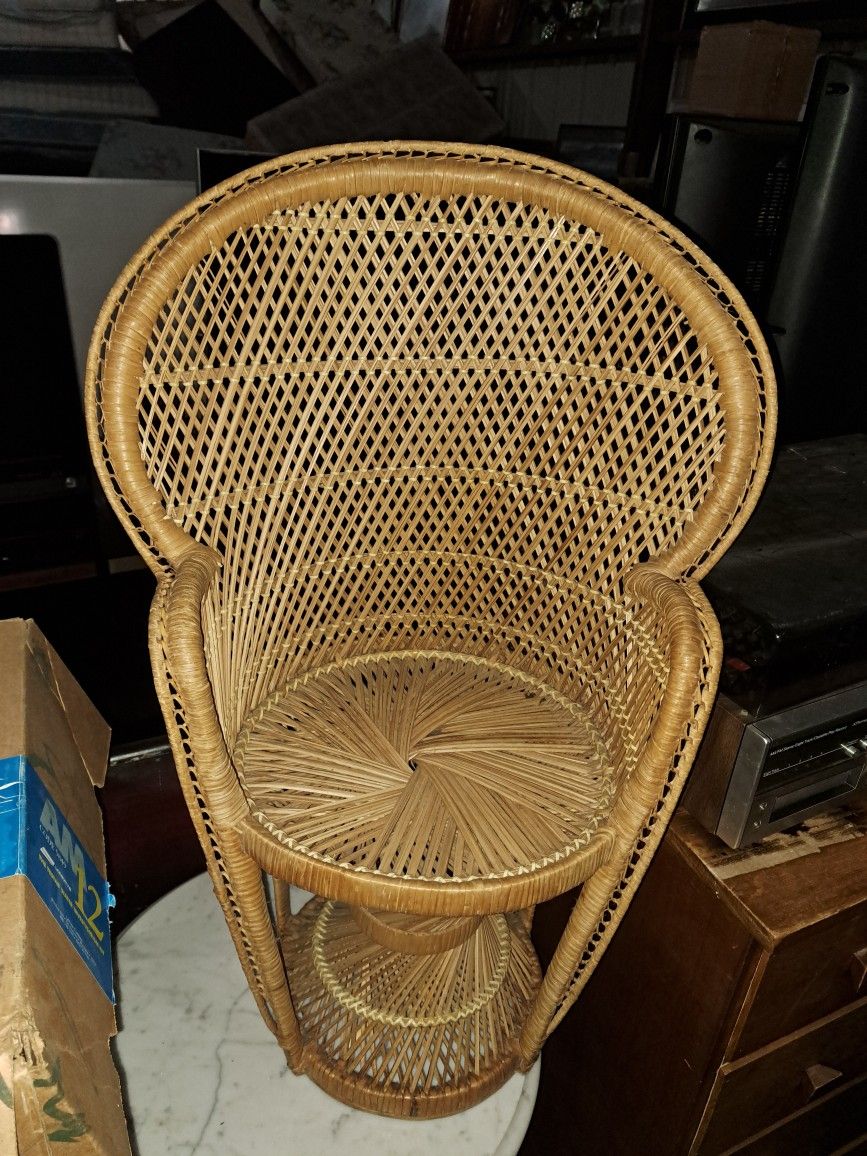 Toddler Peacock Chair 