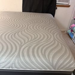 Sealy Cal King Mattress 