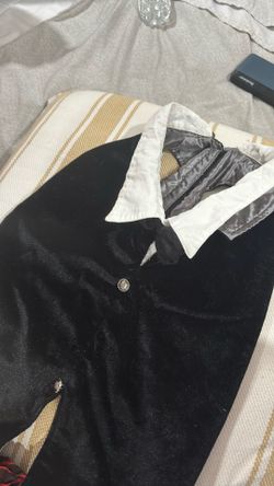 Halloween Pet Costume