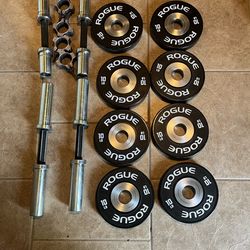 Rogue dumbbell handles and 10lb dumbbell bumpers 10lb 15lb