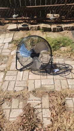 Fan