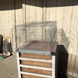 Cages, jaulas, 