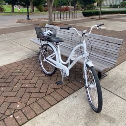 Townie bikes 