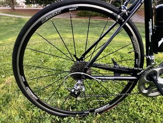Raleigh capri online 4.0