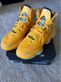LeBrons (size 13)