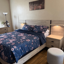 Tan 5-Piece Bedroom Set – Like New, Includes Mattress - Avondale, AZ