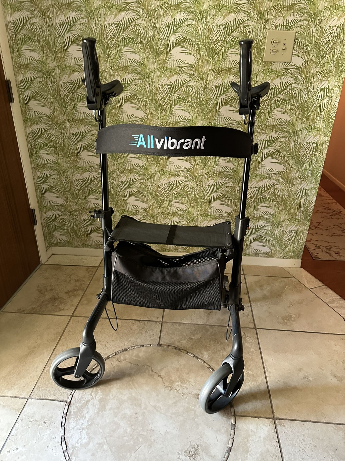 All Vibrant Upright Walker