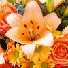 Flor