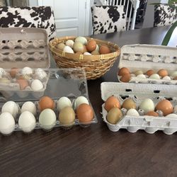 Fresh Eggs $7 By the Dozen