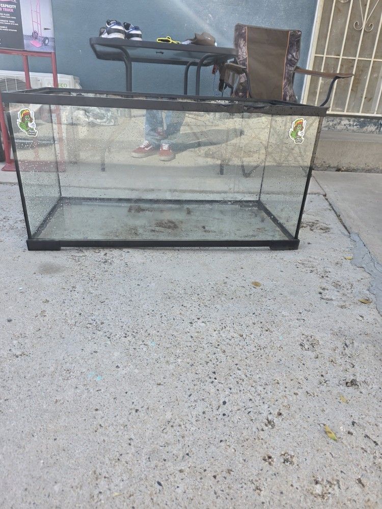 Lizard Tank