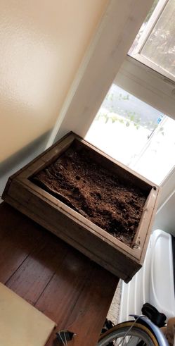 Doggy or kitty litter box