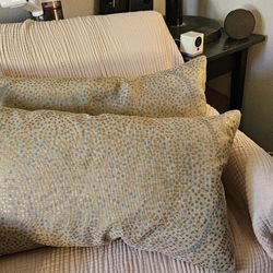 Decorative Pillows 2
