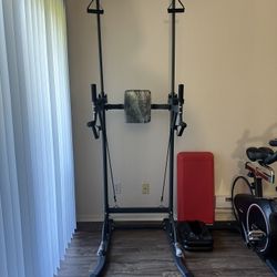 Pull-up/ Dip Stand 