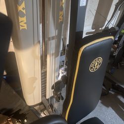 Golds Gym Press/Lat  Pull Down/Curl Machine 