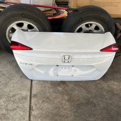 Trunk 