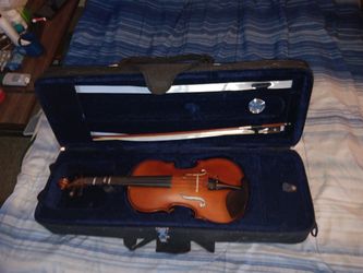 Violin