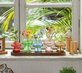 Plant Propagation Station: 5PCS Colored Mushroom Vase with Wood Tray