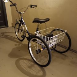 Sun Electric Or Manual Trike