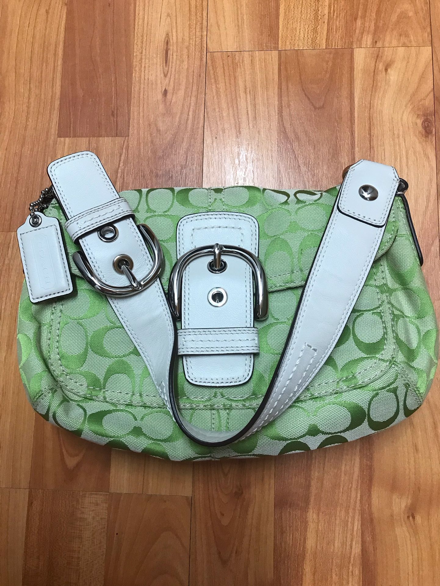 Apple Green Coach Bag