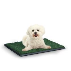 25 in. x 20 in. Artificial Grass Dog Pee Turf Puppy Potty Training