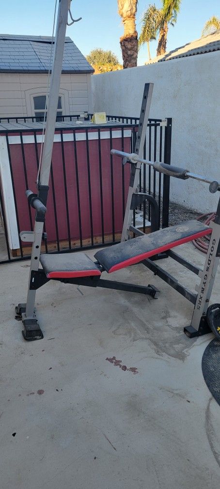 Gold's Gym Weights