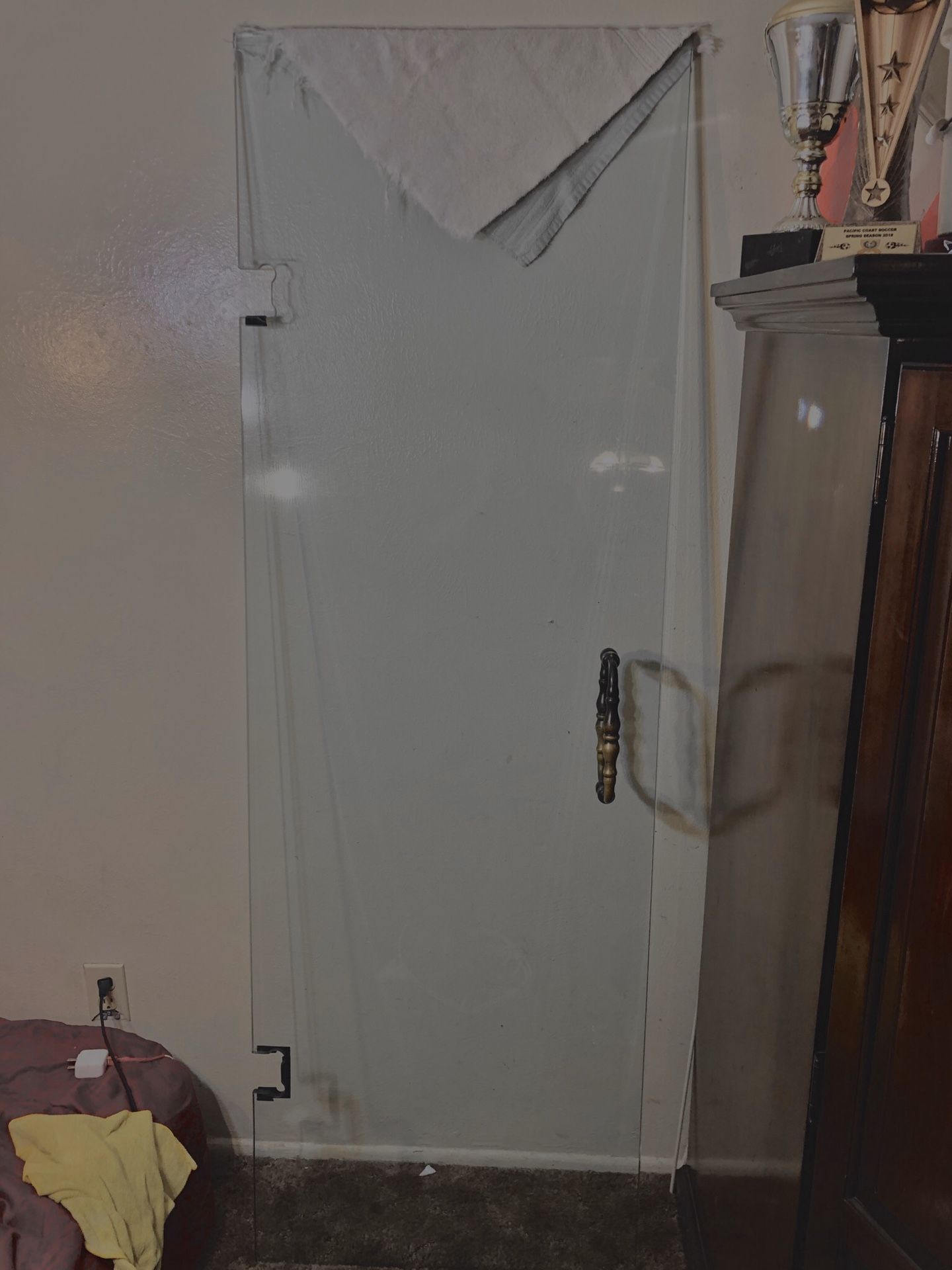 Beautiful frameless hinged shower door