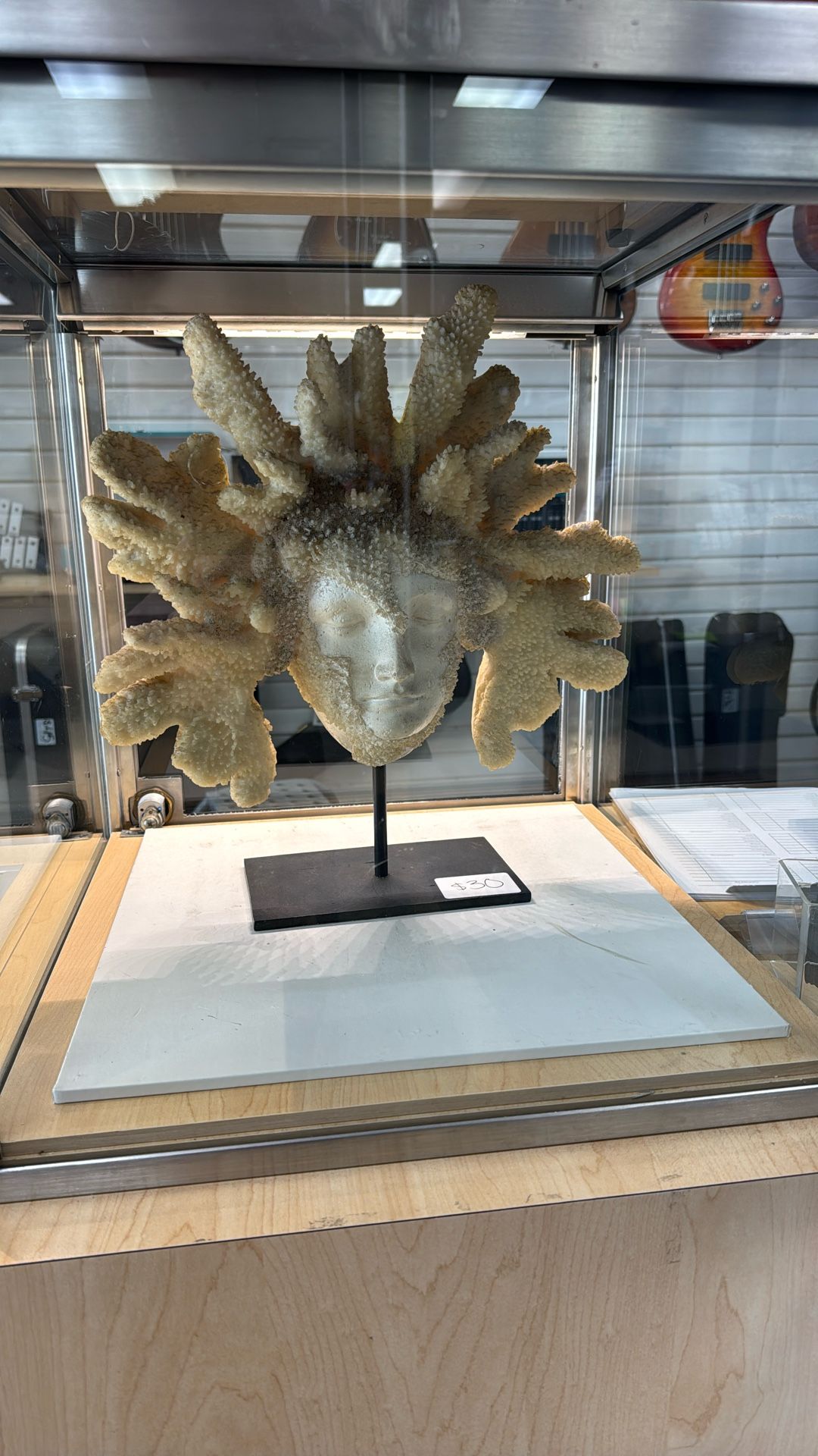 Coral Head