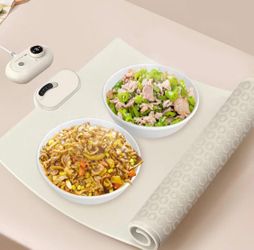 Electric Foldable Plate Warmer