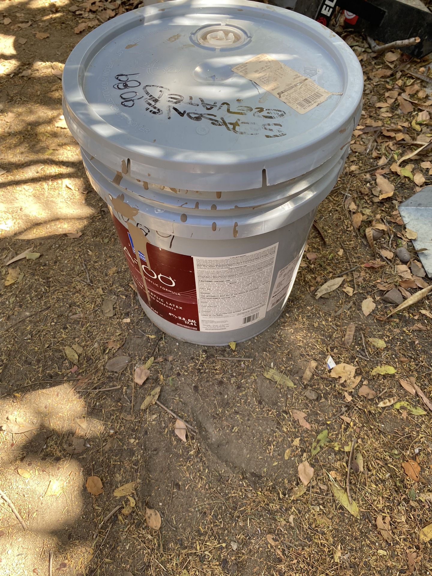 Paint”Llama Wool”