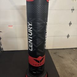 Punching Bag