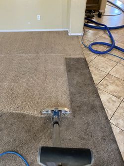 Professional Carpet Cleaner