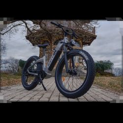 Mountain E Bike Rattan 