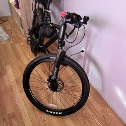 Electric Mountain Bicycle 